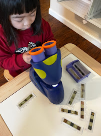 LearnNplay preschool/daycare - Photo 7 - Car repair in Roseville, CA, Roseville