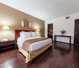 Suites Teca Once photo