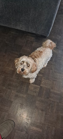 PetSmart Grooming - Photo 1 - Car repair in Oklahoma City, OK, Oklahoma City