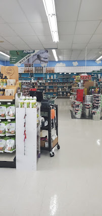 Smithland Pet & Garden Center - Agway (formerly Agway of Southington) - Photo 4 - Car repair in Southington, CT, Waterbury