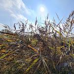 Photo n°3 de l'avis de Markus. fait le 20/10/2022 à 17:54 sur le  Moin! Hanspeter / Seglertreff Imbiss & Kioskbetrieb am Wohnmobilstellplatz à Otterndorf