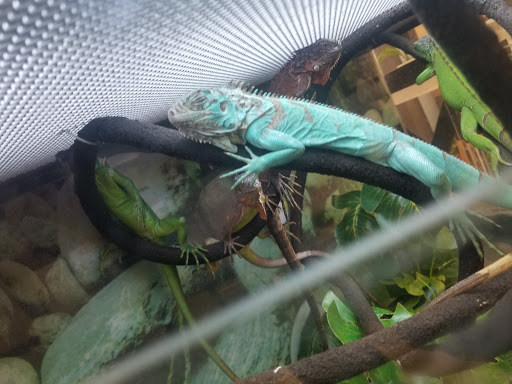 Pet Supply Store «Petco Animal Supplies», reviews and photos, 495 E Lincoln Hwy, New Lenox, IL 60451, USA