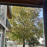 Photo n°5 de l'avis de Lisbeth.a fait le 04/11/2020 à 17:39 sur le  Reis & Prego Lda à Ponte de Lima