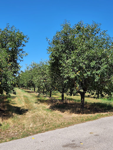 Public Golf Course «Bahle Farms Golf Course», reviews and photos, 9505 E Otto Rd, Suttons Bay, MI 49682, USA