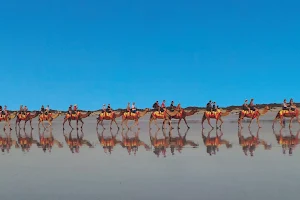 Cable Beach Camels - Camel Rides image