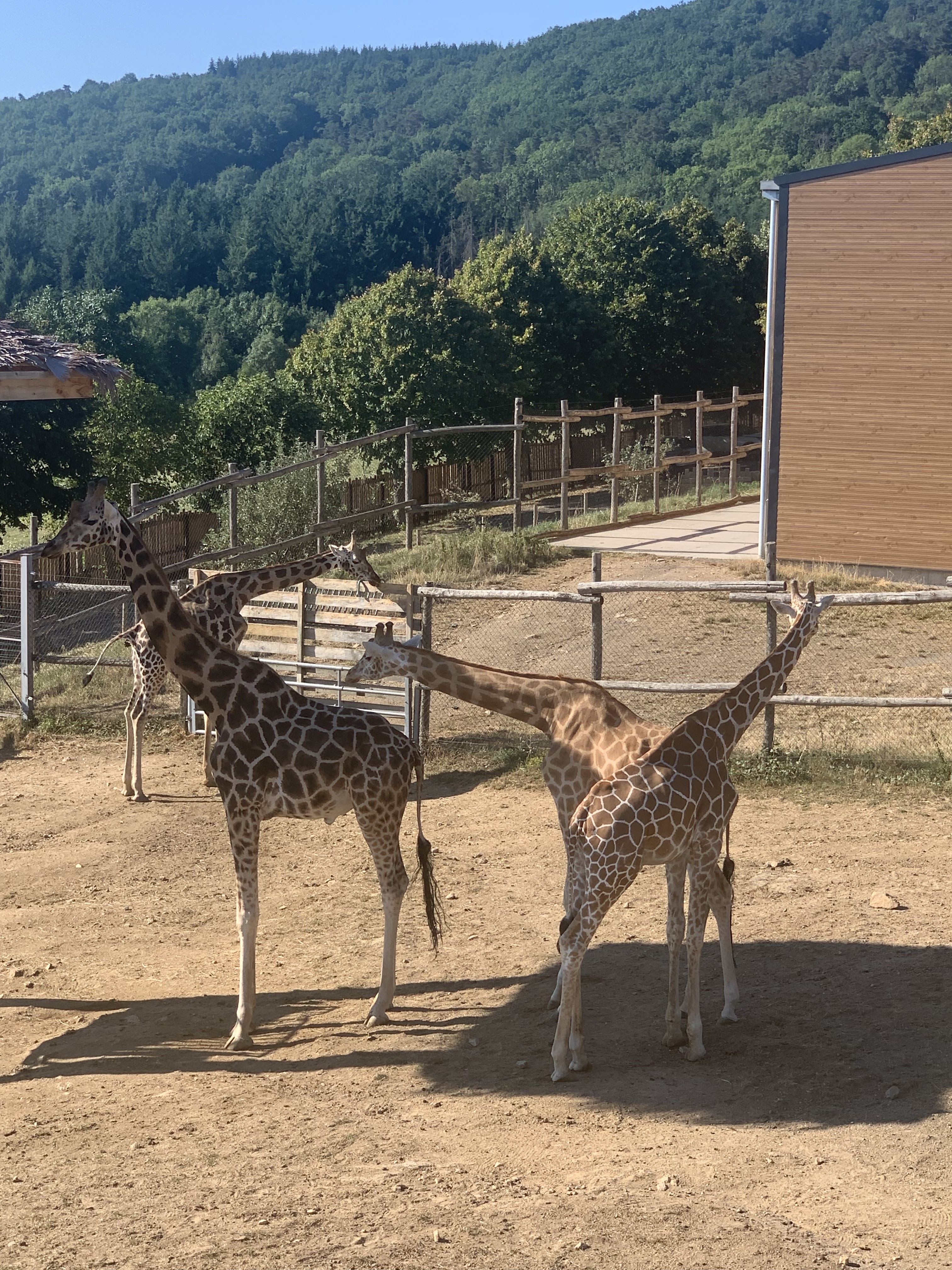 Photo n° 5 de l'avis de alain.m fait le 12/08/2022 à 15:56