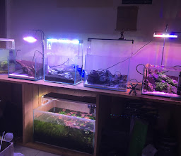 Aquasetup Aquascape Equipment photo