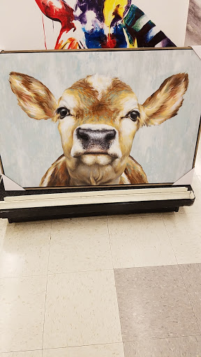 Department Store «T.J. Maxx and HomeGoods», reviews and photos, 7349 Lemont Rd, Downers Grove, IL 60516, USA