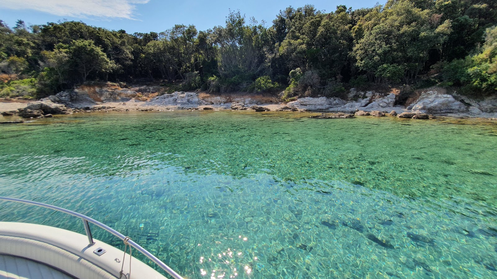 Vlaska beach的照片 带有碧绿色纯水表面