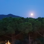 Photo n°2 de l'avis de Marco.a fait le 26/08/2018 à 10:33 sur le  Hotel Valle Verde à Procchio
