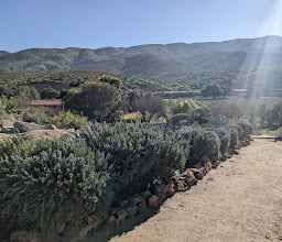 Vinicola Aldo Cesar Palafox photo