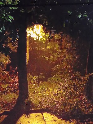 Parque Villa Docente Sotará - photo 1