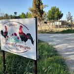 Photo n°1 de l'avis de Tommaso.i fait le 25/05/2022 à 09:45 sur le  Ristorante La Casa di Campagna-Agriturismo à Magione