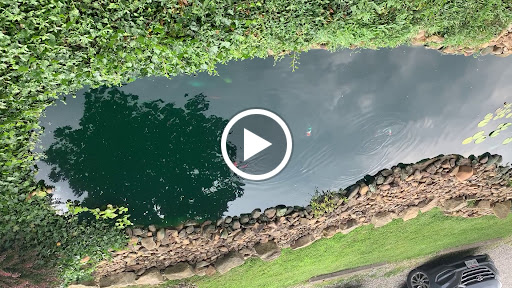 Winery «Merry Family Winery», reviews and photos, 2376 OH-850, Bidwell, OH 45614, USA