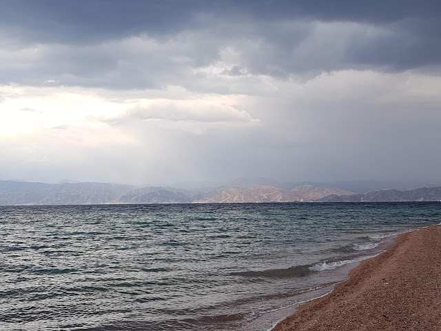 Golden Tulip Hotel Aqaba by null