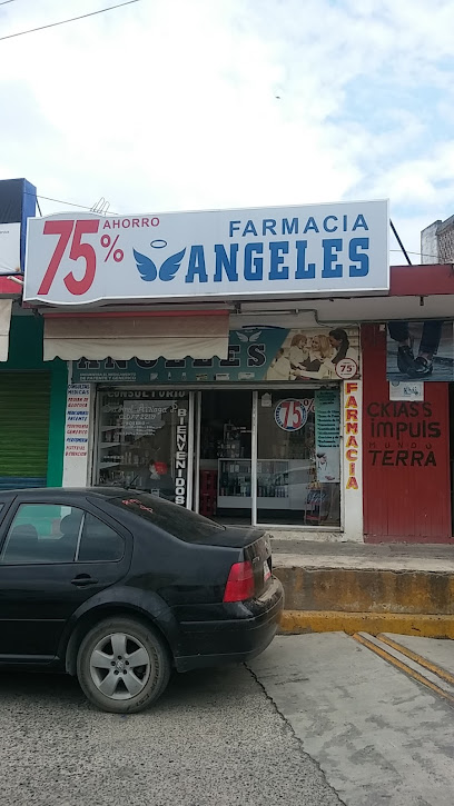 Farmacia Angeles Benito Juarez 28-30, Progreso, 92340 Naranjos, Ver. Mexico