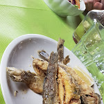 Photo n°1 de l'avis de Michele.u fait le 07/06/2021 à 10:44 sur le  Pas Partu' Osteria Laghi à Boretto