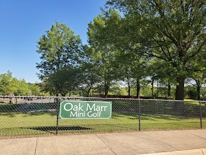 Oak Marr RECenter - photo 10
