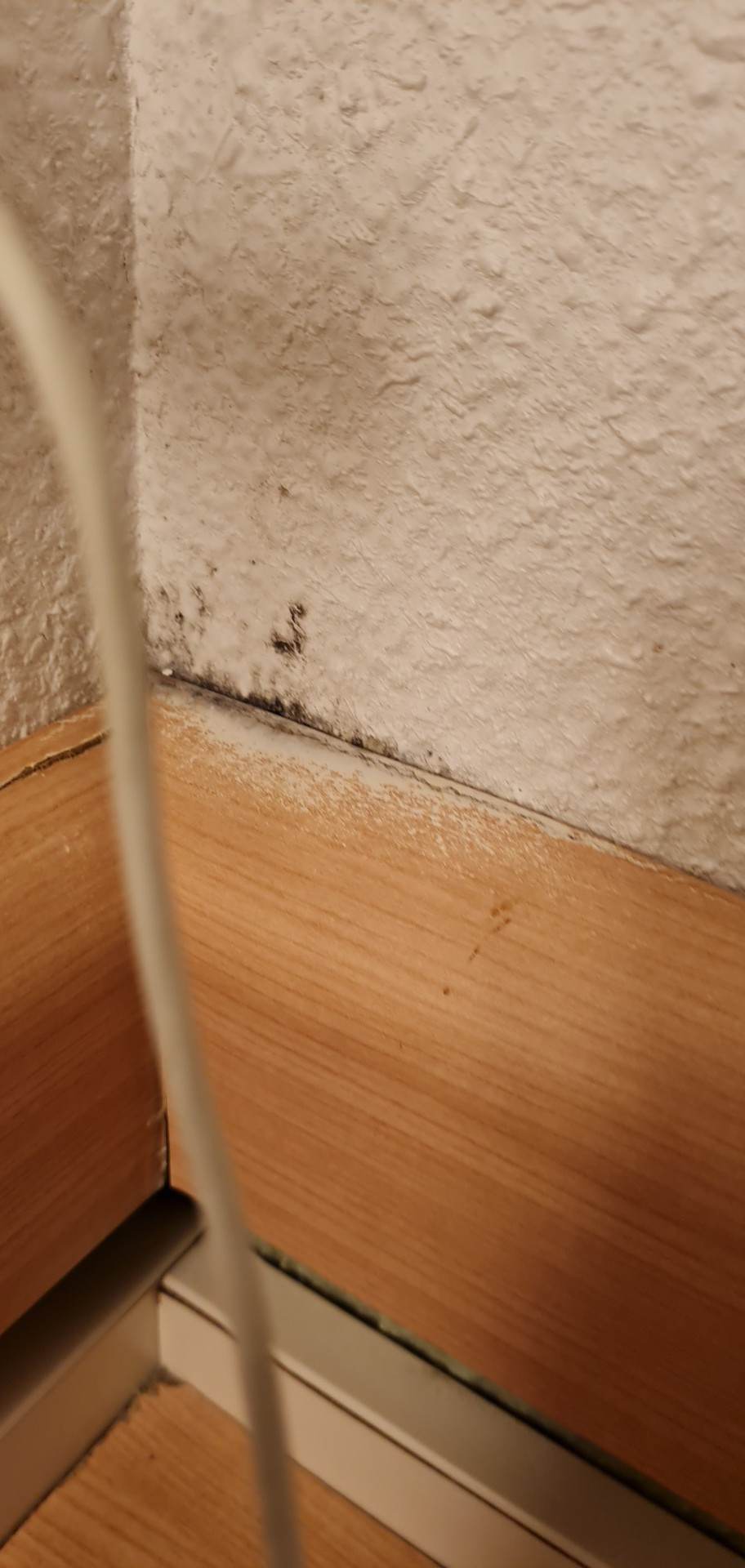 Photo n° 9 de l'avis de Biba. fait le 14/03/2023 à 18:26