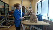 PetSmart - Car repair in Ocala, FL, Ocala - Rated 4.2/5