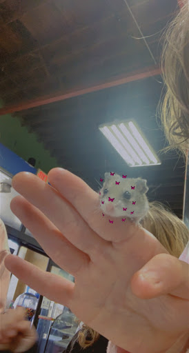 Pet Store «Pets Plus - Lansdale», reviews and photos, 555 S Broad St, Lansdale, PA 19446, USA