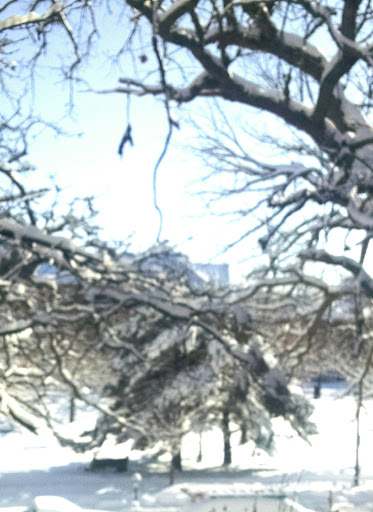 Park «Iris Park», reviews and photos, 1885 University Ave W, St Paul, MN 55104, USA