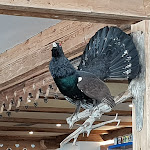 Photo n°9 de l'avis de michal.u fait le 30/01/2019 à 15:07 sur le  Ütia La Tambra à Arabba