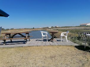 Photo n°53 de JOYEAU MICHEL à Dolus-d'Oléron ()