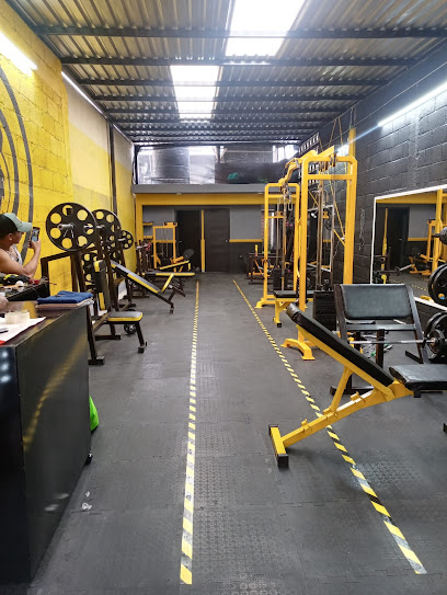 Team Lion,s Gym - Agua potable, 39070, Chilpancingo de los Bravo, Gro., Mexico