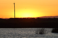 ThorSchwinn - Photo 8 - Car repair in , Stockton