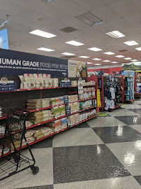 Petco - Photo 4 - Car repair in Wheaton, IL, Naperville