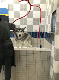 Pet Food Express - Photo 4 - Car repair in Sacramento, CA, Sacramento