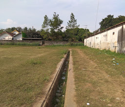 Stadion-Putra Bangsa photo
