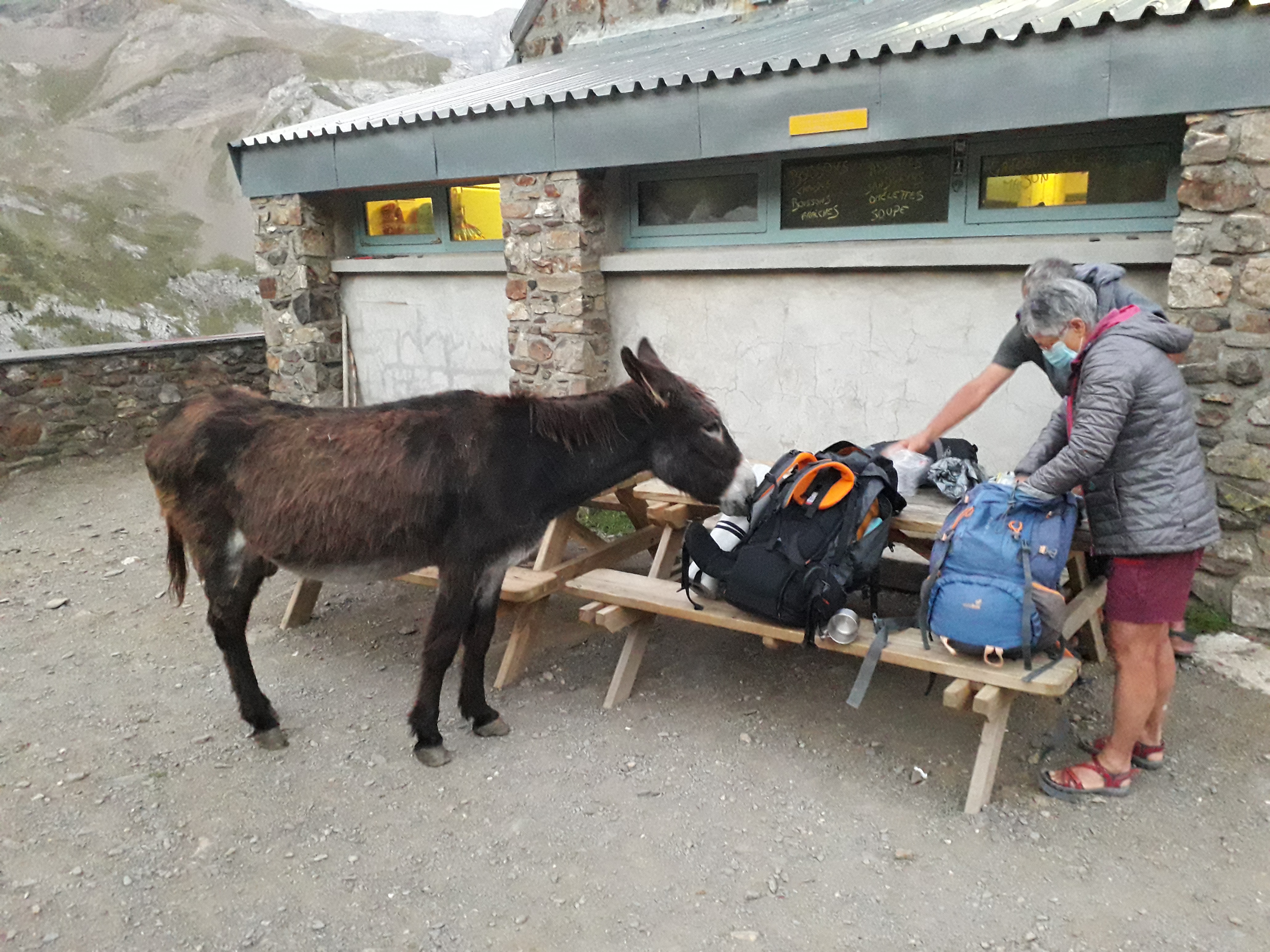 Photo n° 1 de l'avis de Ignacio.g fait le 14/09/2021 à 21:18