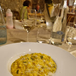 Photo n°3 de l'avis de Preamino. fait le 10/09/2022 à 08:40 sur le  Fenil Conter à Pozzolengo