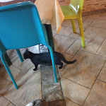 Photo n°3 de l'avis de Mario.i fait le 12/09/2022 à 08:09 sur le  Trattoria Ristorante Pizzeria Peppe e Nino à Buseto Palizzolo