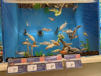 PetSmart - Photo 4 - Car repair in Chandler, AZ, Mesa