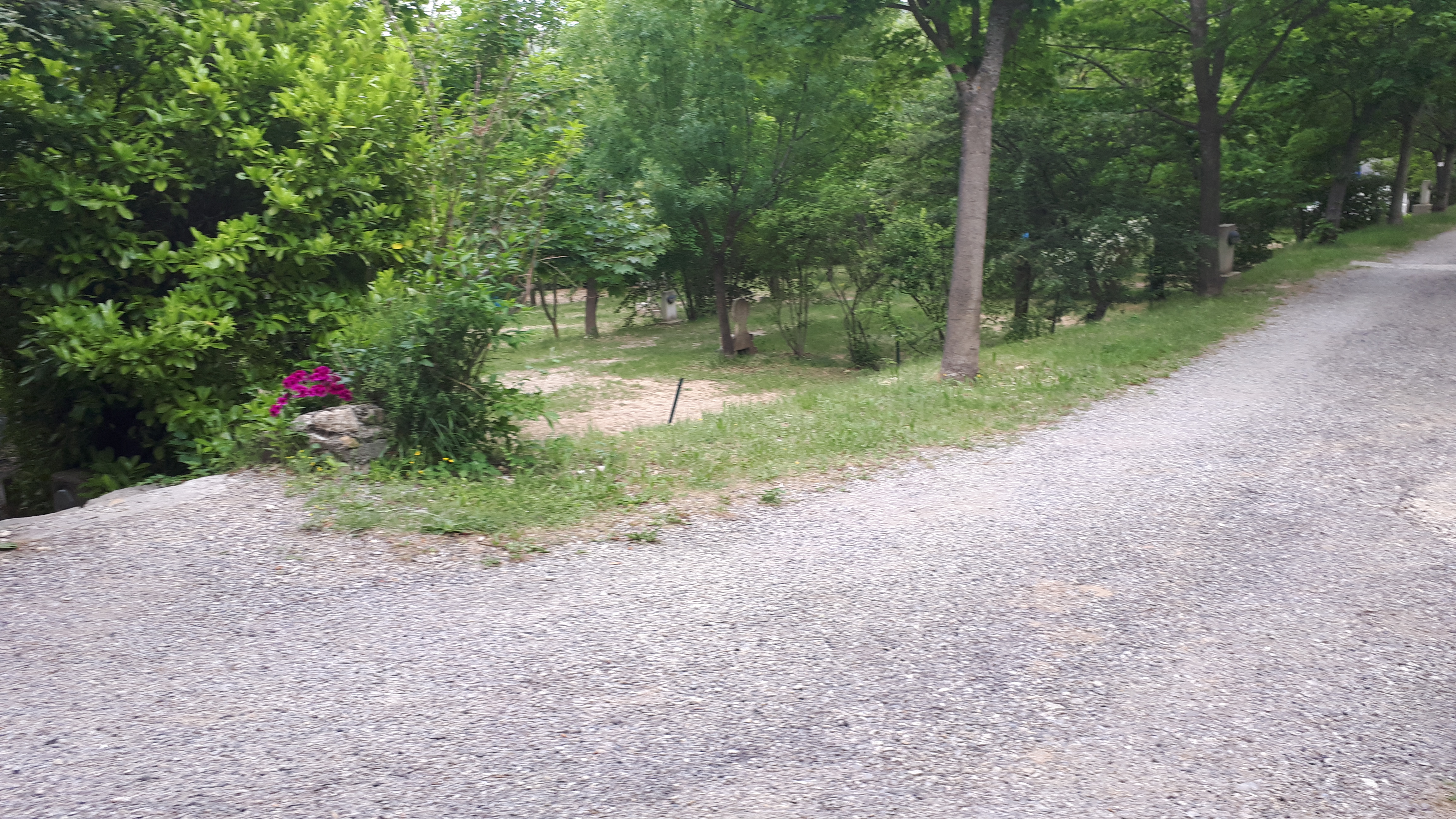 Photo n° 3 de l'avis de Francoise.e fait le 15/06/2019 à 04:38