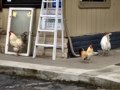 Coffee Shop «Fair Oaks Coffee House & Deli», reviews and photos, 10223 Fair Oaks Blvd, Fair Oaks, CA 95628, USA