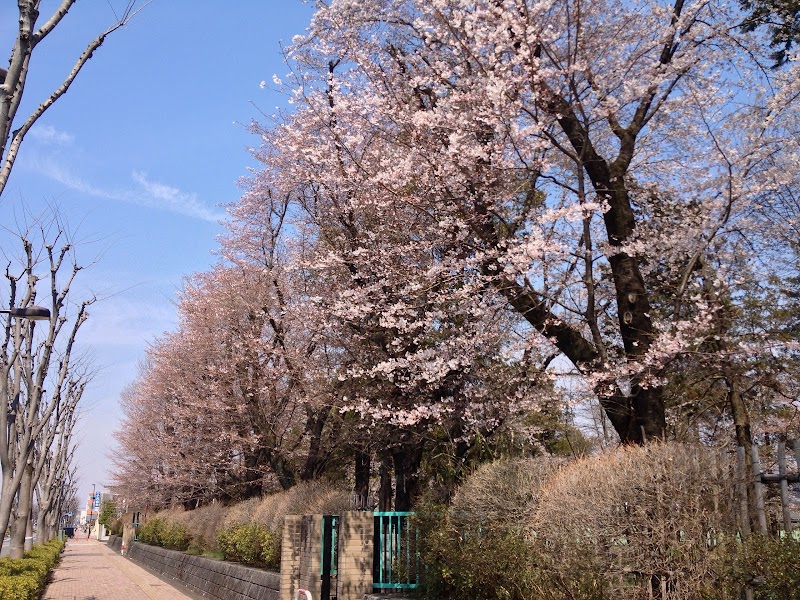 青梅市立東中学校