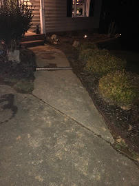 Lezama's Landscaping - Photo 2 - Car repair in Westminster, CA, Long Beach