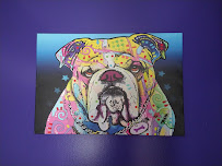 Colt's Canine Club, LLC - Photo 3 - Car repair in Muskego, WI, Milwaukee