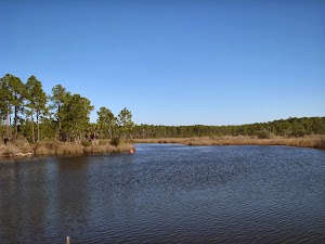 Grand Bay Wildlife Management Area - photo 3