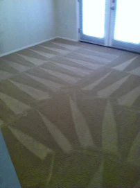 Definitive Difference Carpet Cleaning - Car repair in Marysville, WA, Marysville - Rated 4.1/5