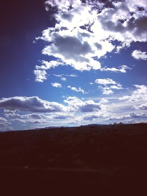 Churchill County Parks & Rec - photo 68