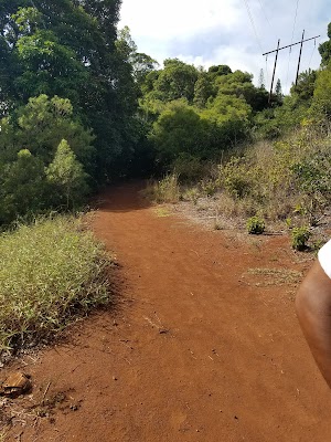 Aiea Loop Trail - photo 74