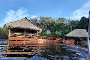 Tariri Amazon Lodge image