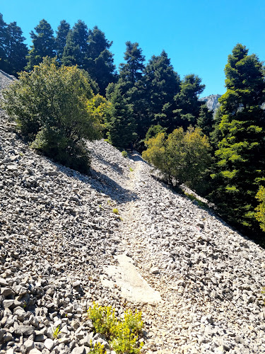 Αμφίκλεια Ελάτεια 350 02