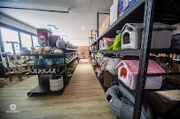 Fun Time Pets - Photo 7 - Car repair in Ault, CO, Greeley