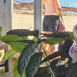 Photo n°3 de l'avis de Carmo.e fait le 04/07/2023 à 12:46 sur le  Islet Earth Bar à Baleal